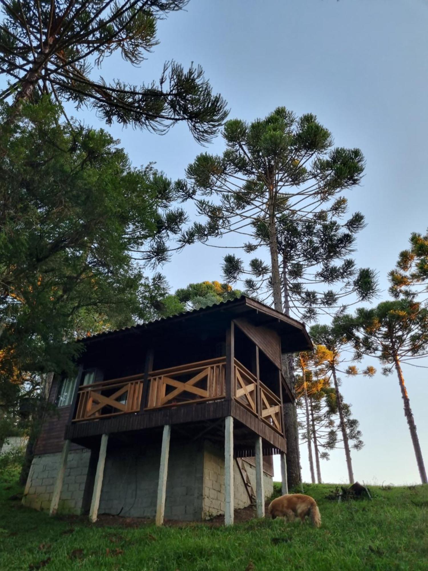 Pousada Cajuva Урубиси Экстерьер фото
